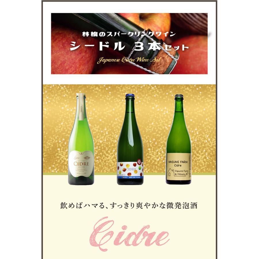 長野ワイン シードル セット 送料無料！長野県産シードルワイン3本セット - メルカリ