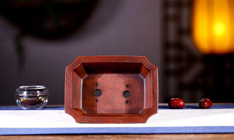 中国宜興 長方竜盆 紫砂の鉢 盆栽鉢 植木鉢 小品盆栽鉢 大品盆栽鉢 中国宜興 長方竜盆 紫砂の鉢 盆栽鉢 植木鉢 小品盆栽鉢 大品盆栽