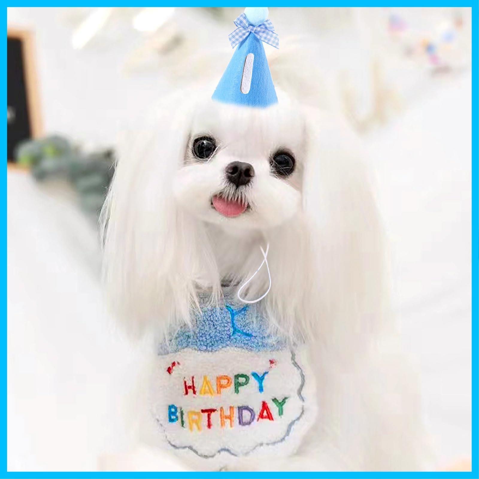 新着商品】3点セット 誕生日帽子 バースデー帽子 誕生日グッズ ペット  
