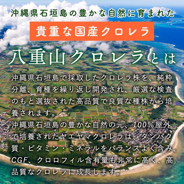 1ヶ月分 20袋セット