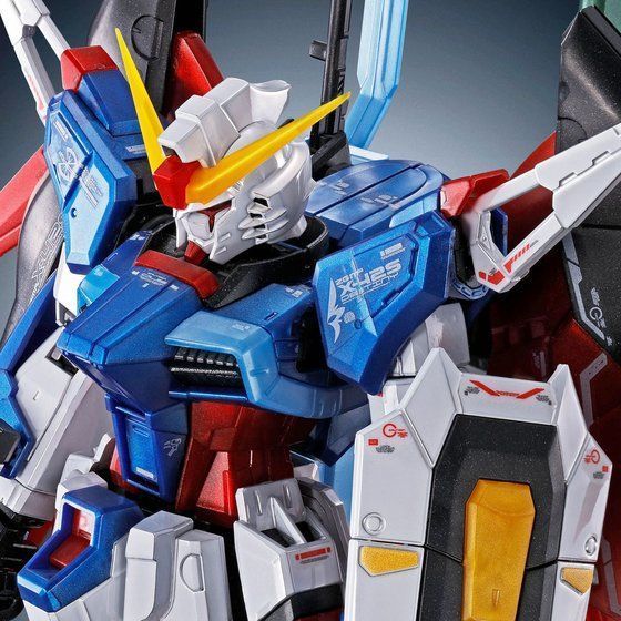 プレバンSEED系まとめ売り　フリーダム　デスティニー　チタニウムフィニッシュ RG 1/144 デスティニーガンダム チタニウムフィニッシュ