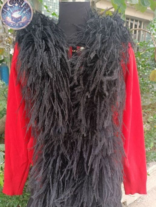 羽根 社交ダンス