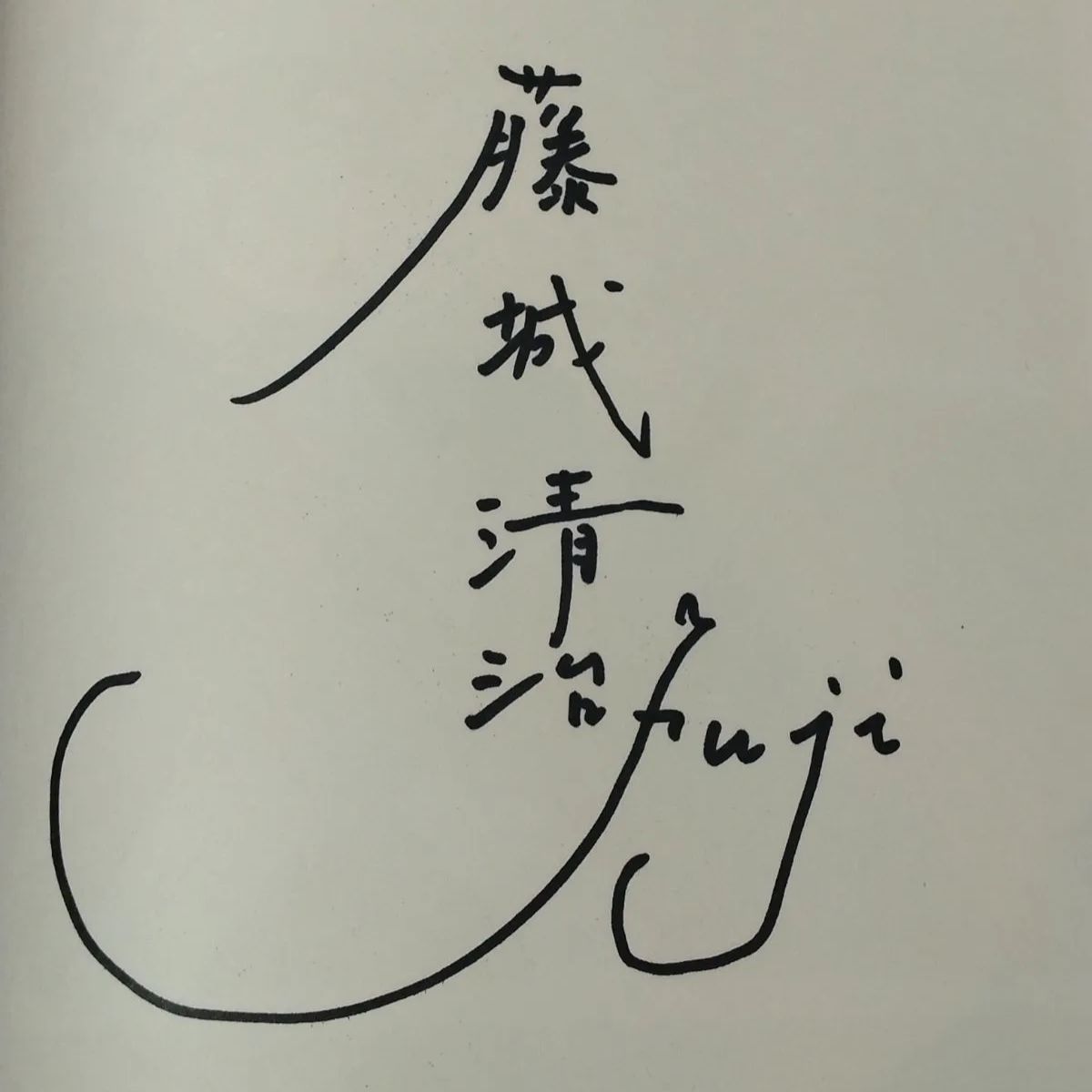 中古 藤城清治影絵画集 講談社 ※直筆サイン入り - メルカリ