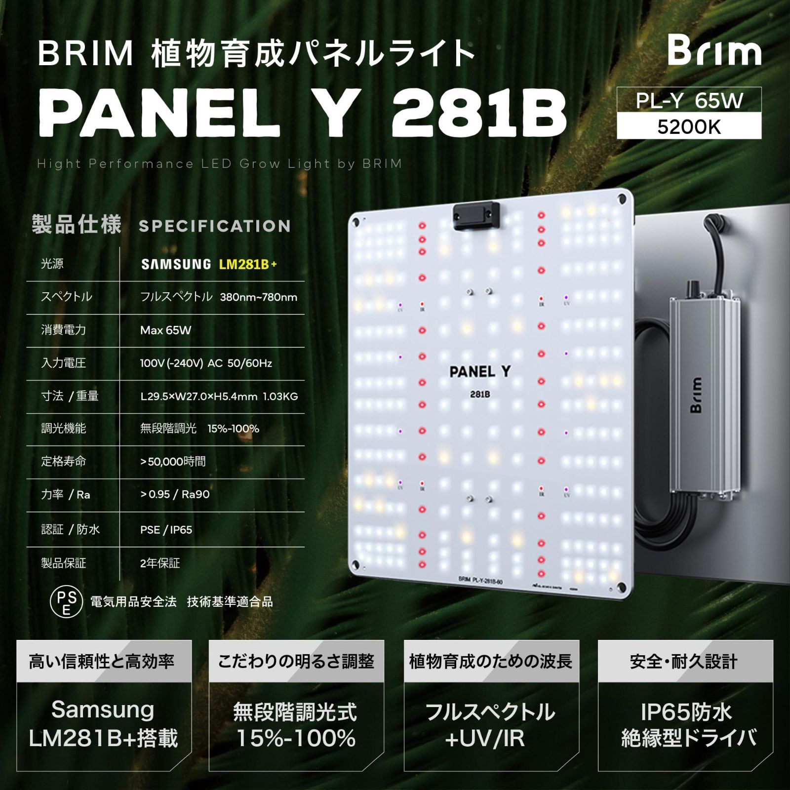 フックワイヤー付き