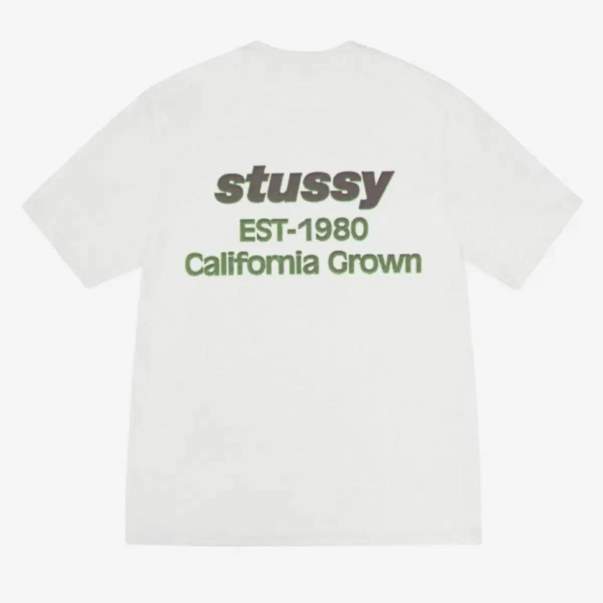S STUSSY ステューシー カリフォルニア グルーン PIGMENT ピグメント 半袖 Tシャツ ナチュラル