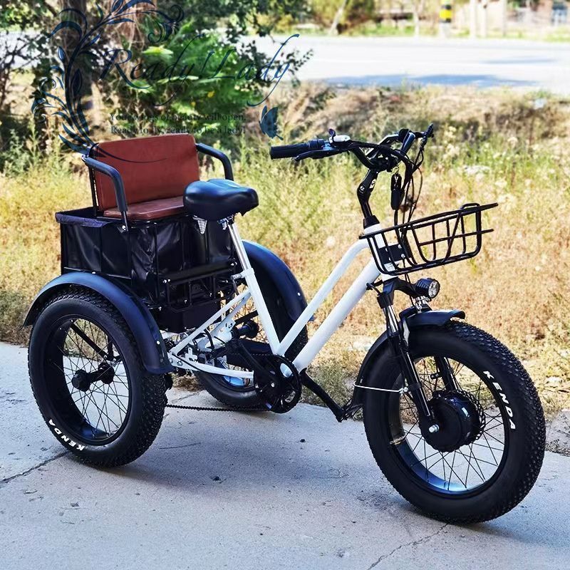 20インチ電動自転車 48V 750Wワイドペダル 三輪車 厚手のタイヤ リチウム電池 三輪車