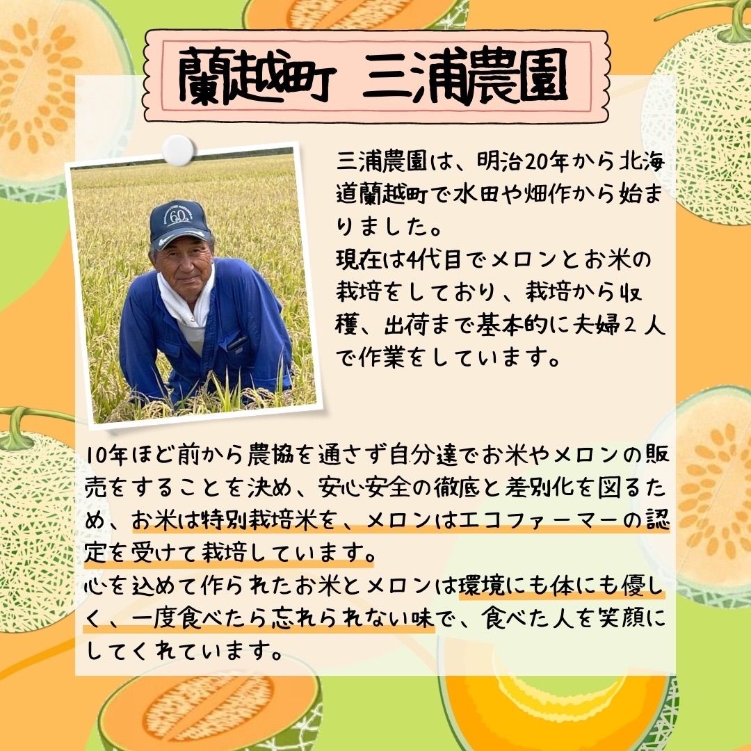 【終了間近！】赤肉メロン 8kg 4〜5玉入　ティアラ　秀品　北海道　蘭越町