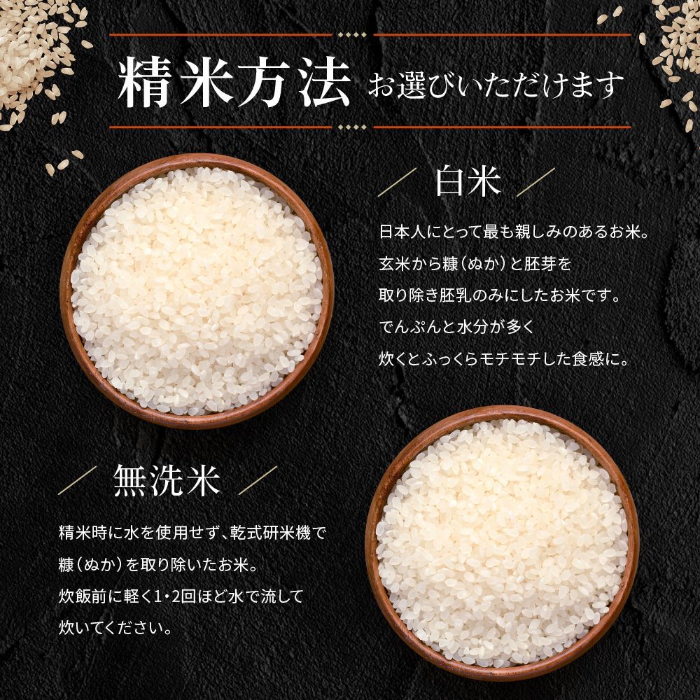 【新米】令和6年 有機栽培米 10kg 秋田県大潟村産 あきたこまち ※沖縄配送不可