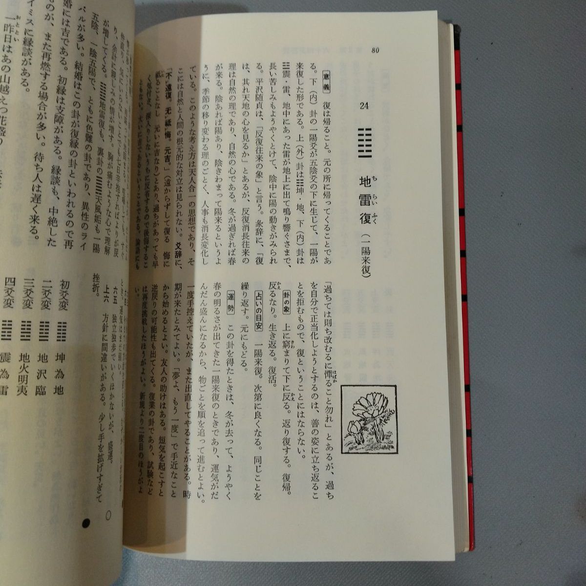 絶版 希少本】増補 現代易入門 ―決断のときのために― 井田成明