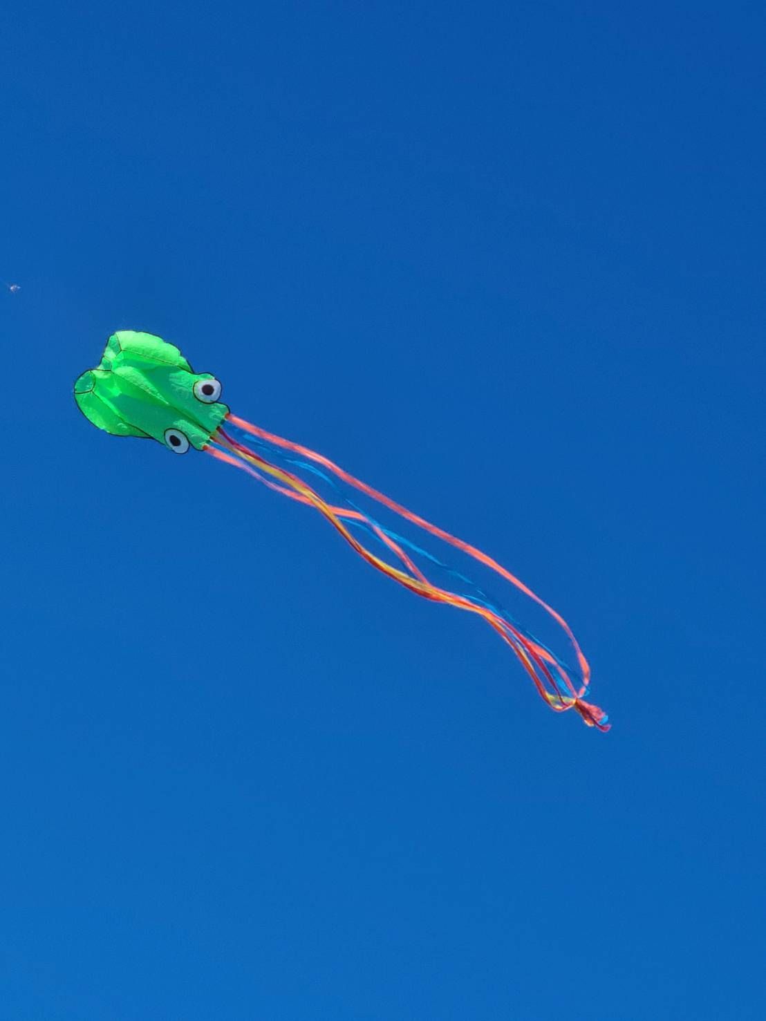 凧 タコ 蛸 たこ カイト KITE 昔の おもちゃ 凧揚げ 外遊び