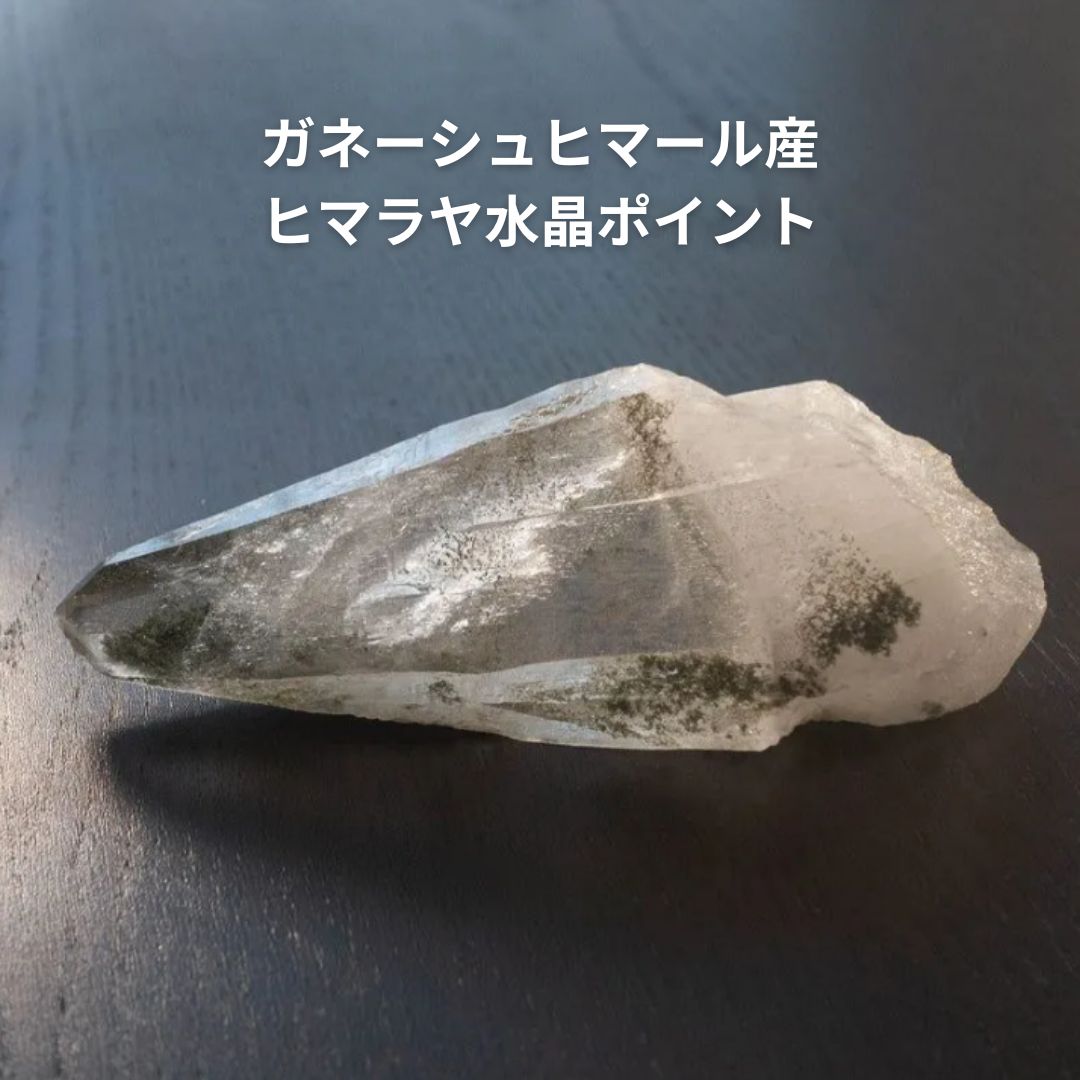 値下しました！ティップリン産ポイント-51-1 ガネーシュヒマール