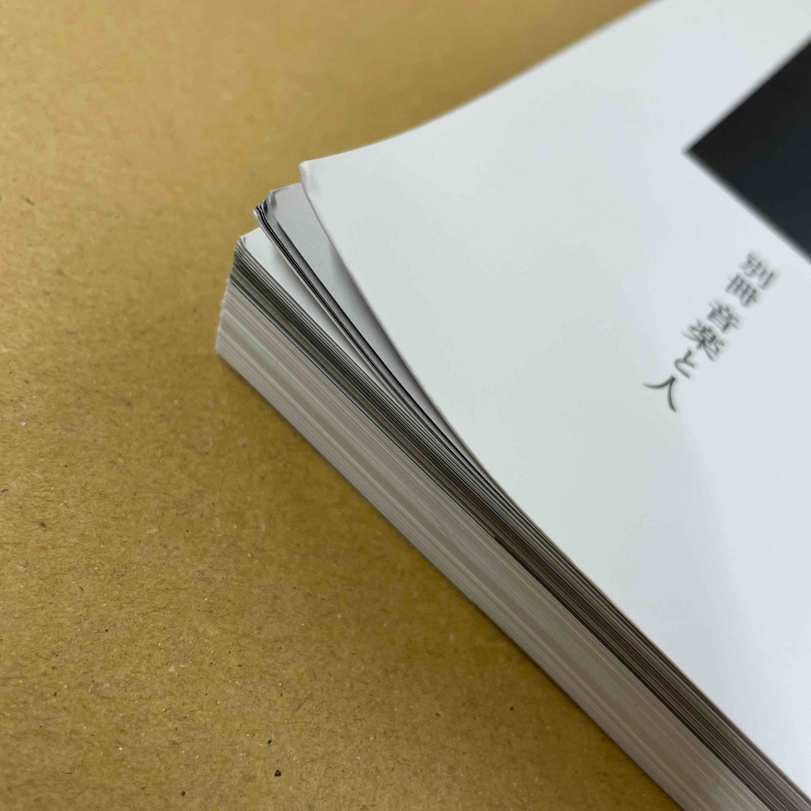 別冊 音楽と人 チバユウスケ（音楽と人 2024年4月号増刊） 中古書籍 