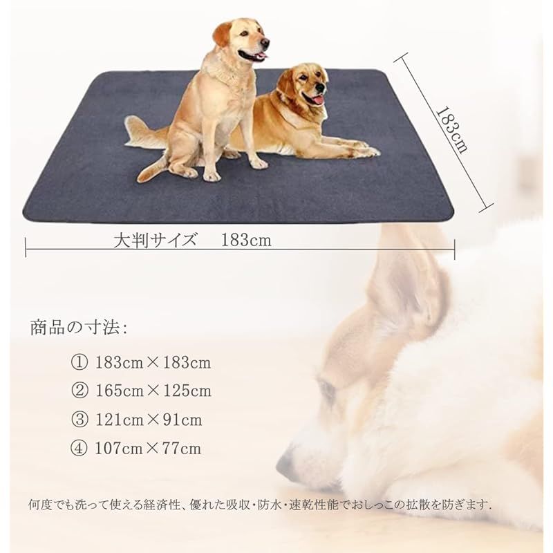 多頭飼い