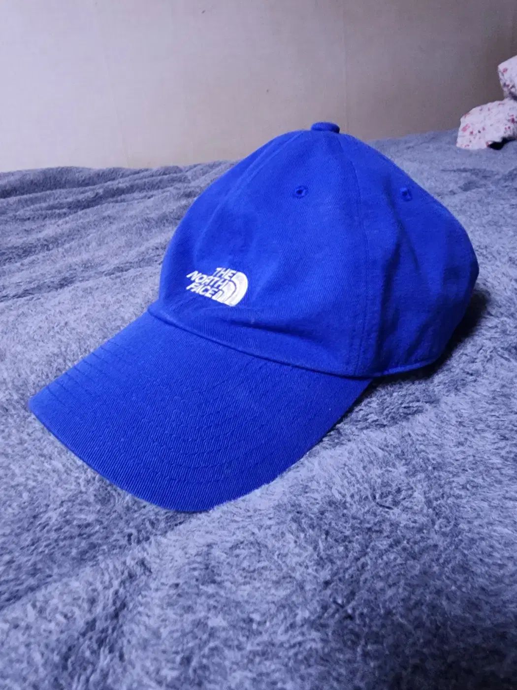 【雷市場（ポンジャン）商品韓国直送】 THE NORTH FACE(ザノースフェイス) 帽子 青