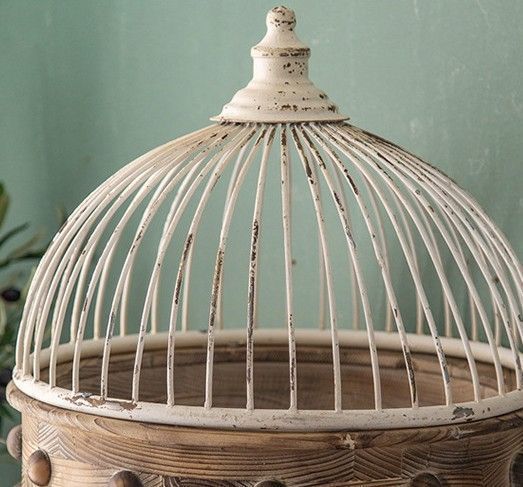 Platinum Venus(DVD付) [CD] Rio; 松嶋重 JICA – 街撮りカメラの