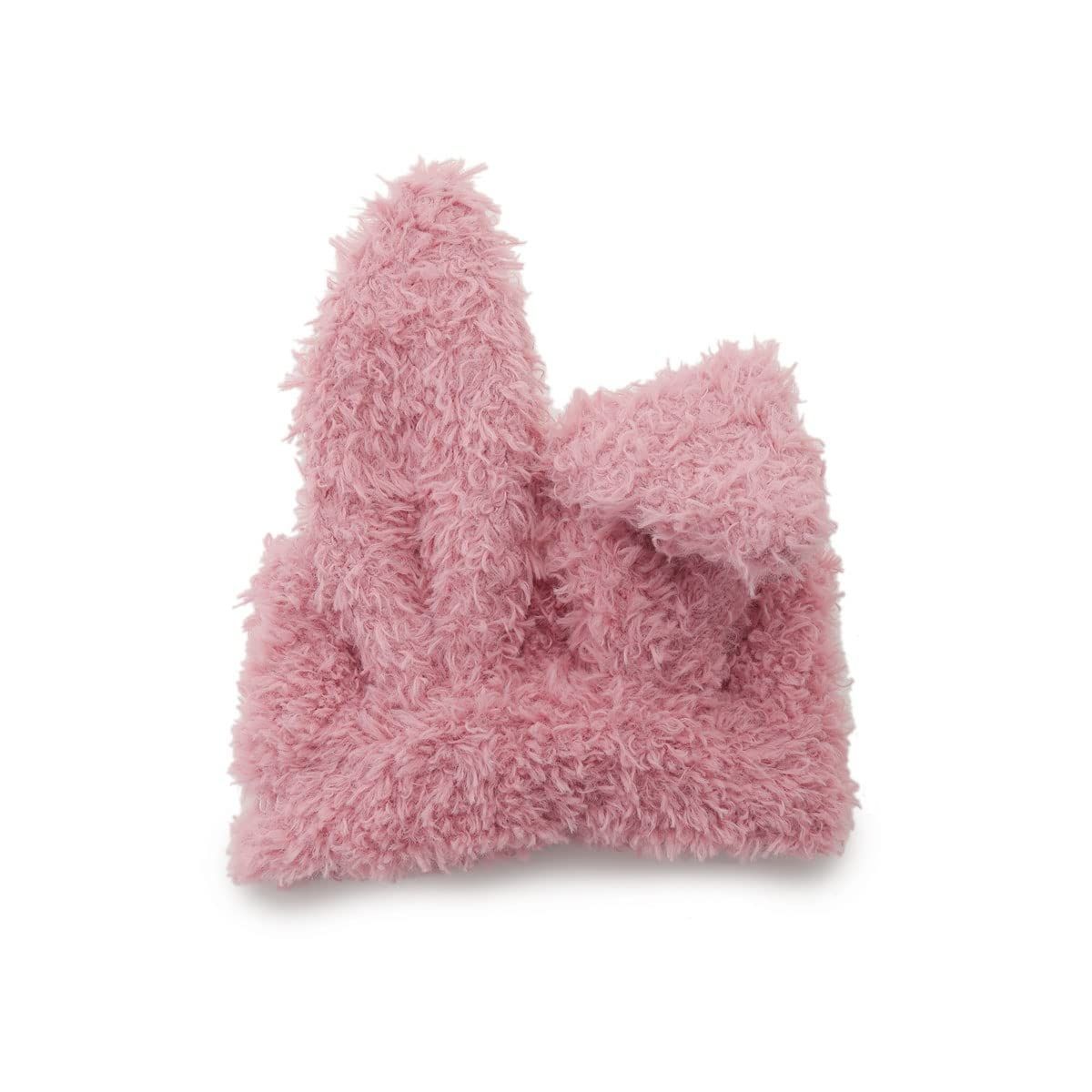 【tomato⚠追加】ハート♥型のツヤのある斑入り葉が魅力♪ペペロミア4号 国華園オンラインショップ / 接木野菜苗 ミニトマト 接木F1TYアップル