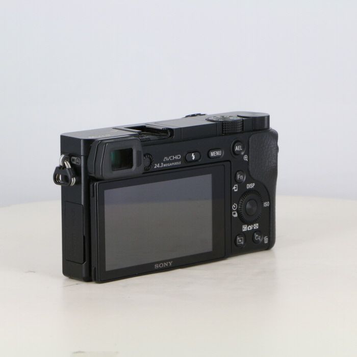 Model ボディ