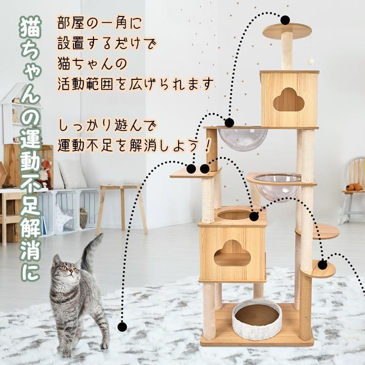 ペット用品 運動不足