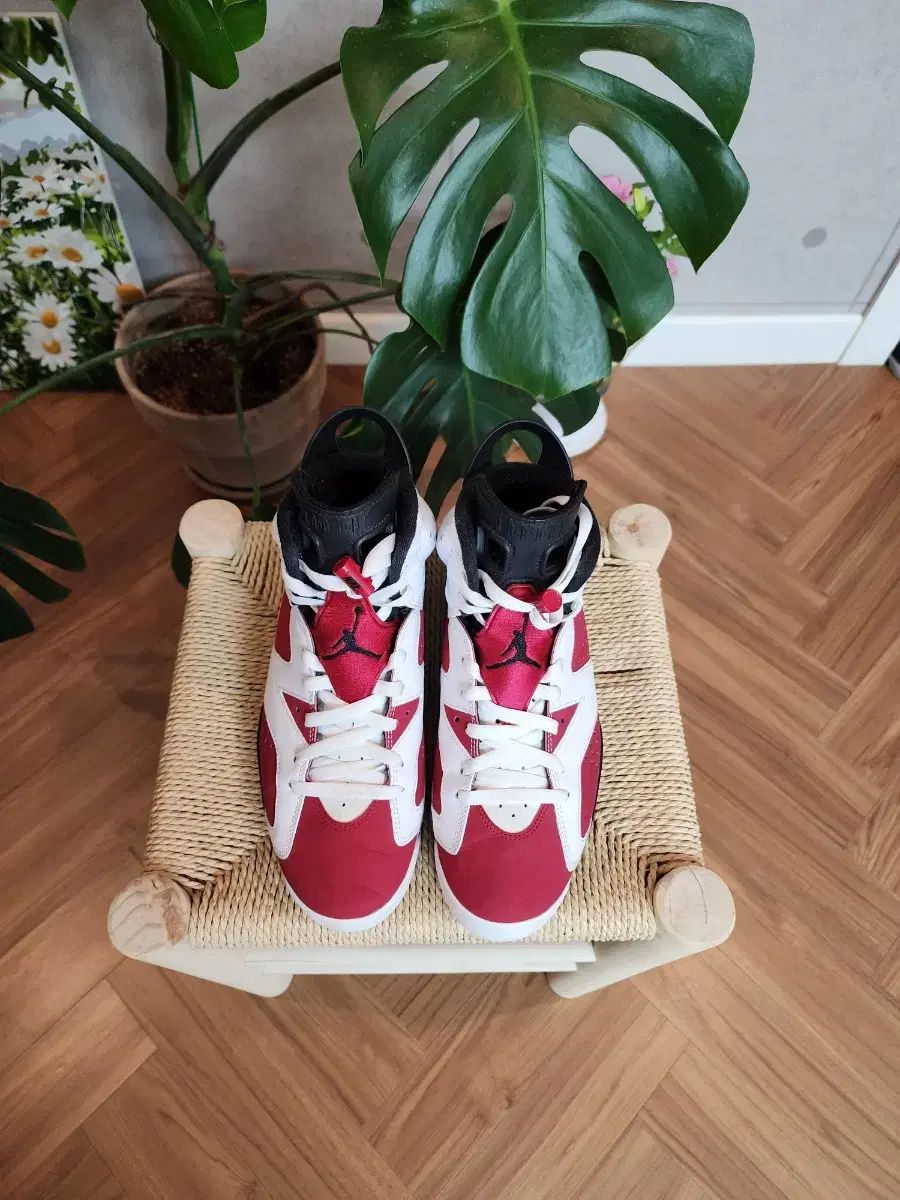 NIKE(ナイキ) ジョーダン 6 カーマイン 275 サイズ