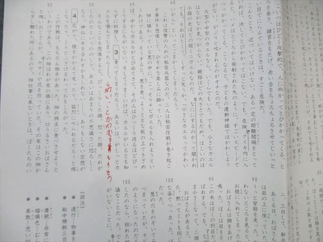SAPIX 小6 サピックス GS特訓 国語 通年セット 【計6回分】 2021 025S2D SAPIX 小6 サピックス GS特訓 国語 通年セット 【計6回分】 2021