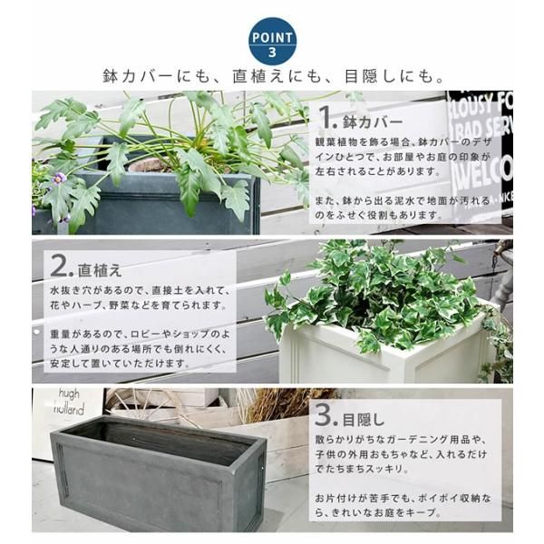 玄関 観葉植物