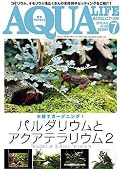 【中古】月刊アクアライフ 2019年 07 月号 パルダリウムとテラリウム2