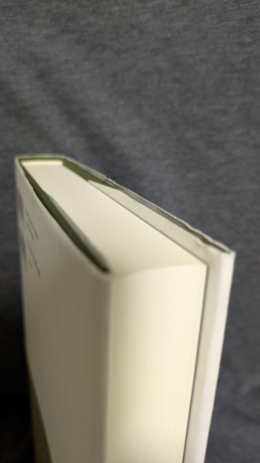 日本風景史 ヴィジョンをめぐる技法 (田路貴浩・齋藤潮・山口敬太編