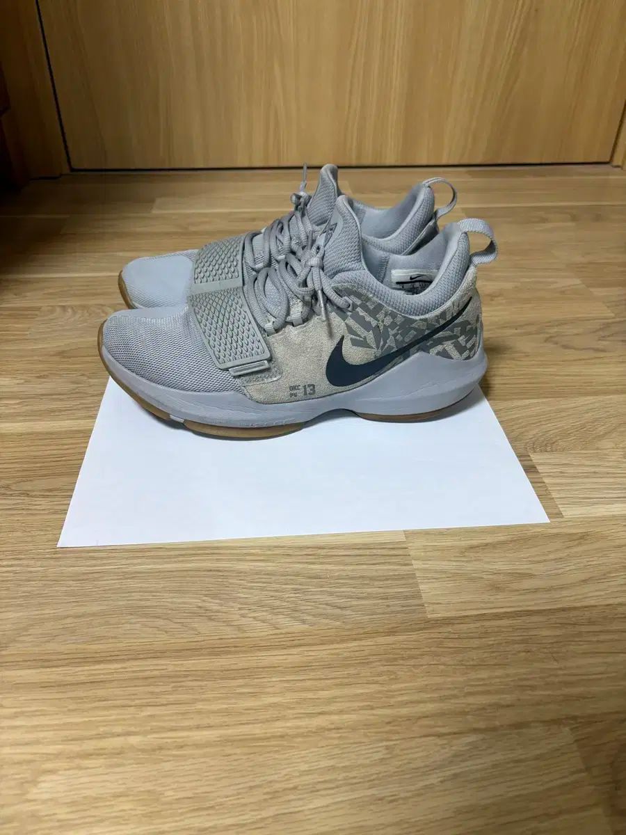 NIKE(ナイキ) PG1 270