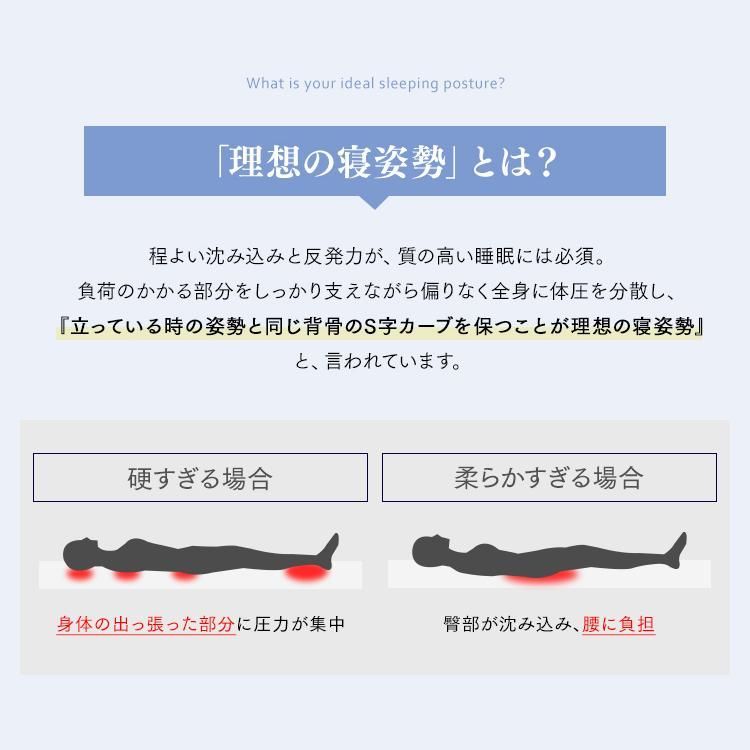 ダブル 高反発