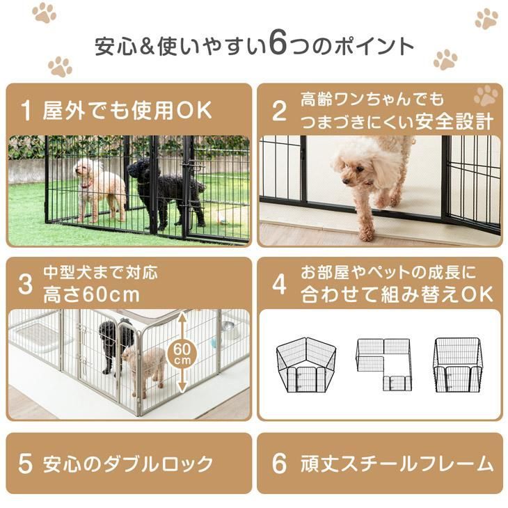 中型犬