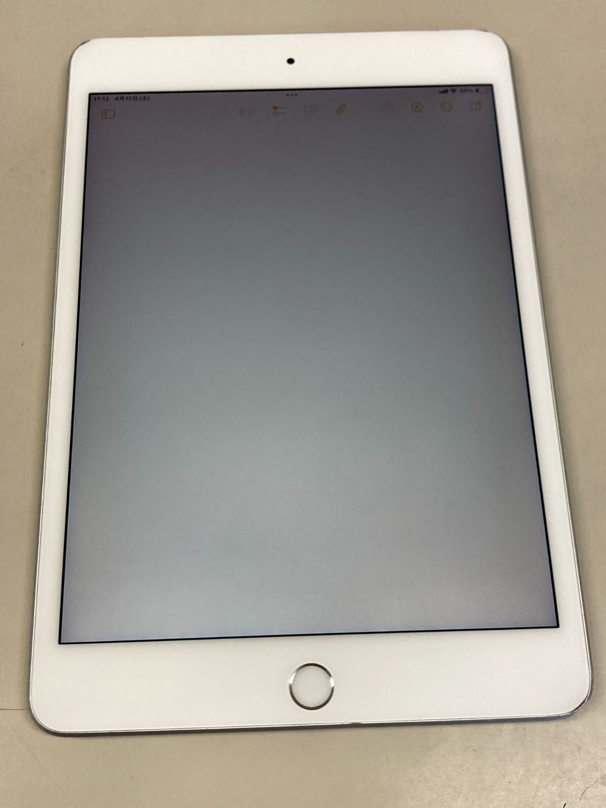iPad mini 第5世代 Wi-Fi+Cellular 64GBシルバー12 Apple iPad mini 7.9