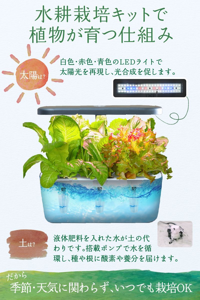 植物育成LEDライト付き 野菜栽培セット