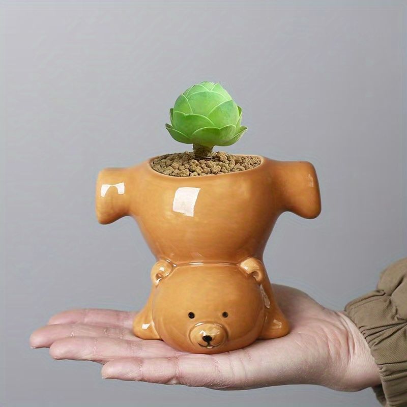 サボテン ユニーク