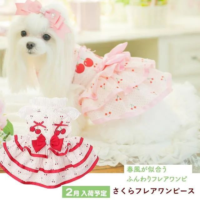 犬服 夏 きゃんナナ さくらんぼフレアワンピース ピンク レッド SS-LL