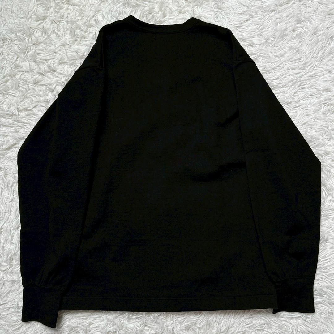 COMME des GARCONS HOMME コムデギャルソンオム 00s 田中オム フラワー