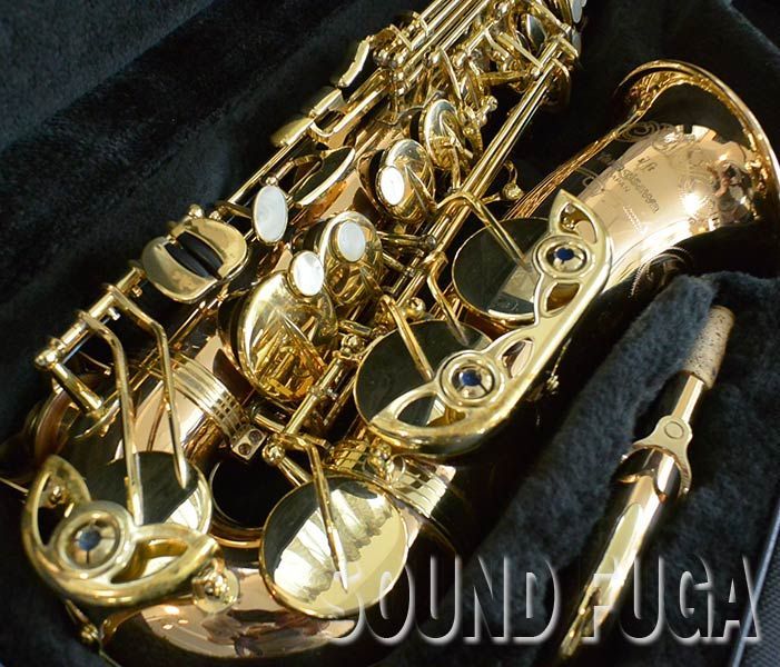 YANAGISAWA A-WO20 ブロンズ上位現行モデル アルトサックス - メルカリ