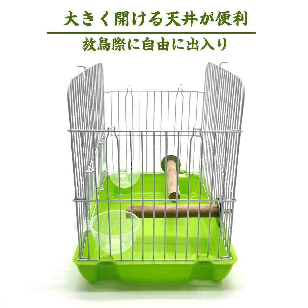 通院 インコ