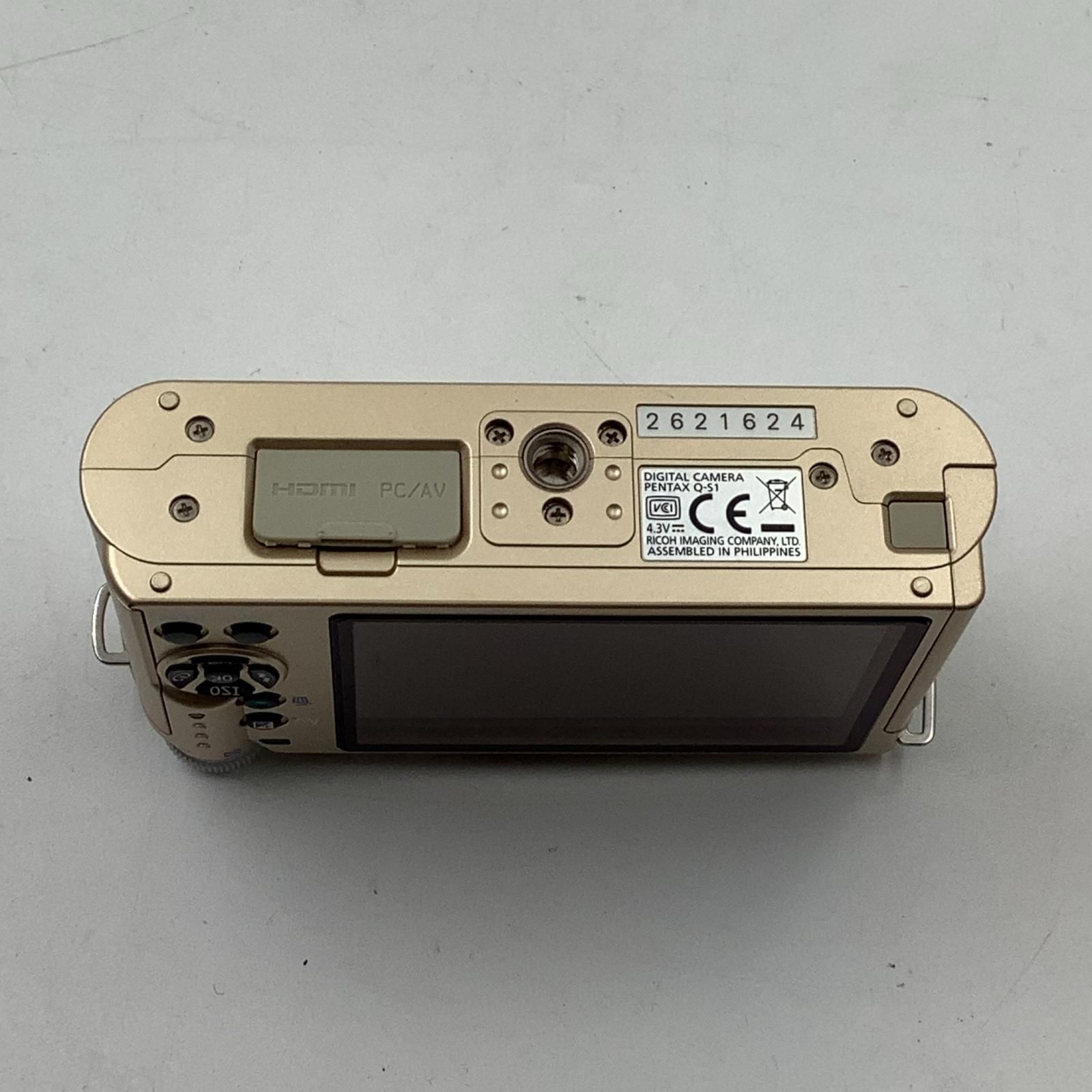 Q-S1 ボディ