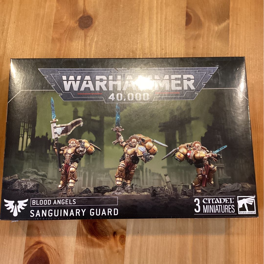 ブラッドエンジェル サングィナリー・ガード Sanguinary Guard ウォー
