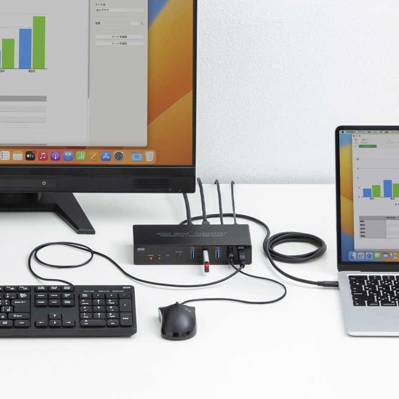 未開梱 サンワサプライ Type-C接続 HDMI接続対応パソコン切替器 エミュレーション非搭載 SW-KVM2DK