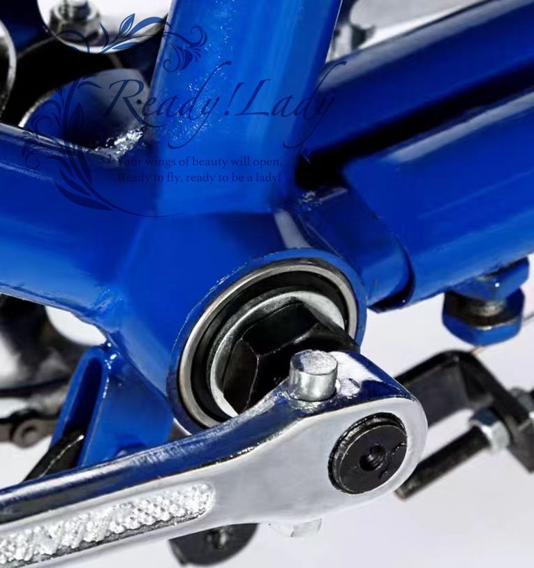 親しみある 大人用貨物三輪車 前輪24インチ 後輪20インチ 耐荷重80kg ダブルブレーキ 三輪車 大容量 後カゴ付