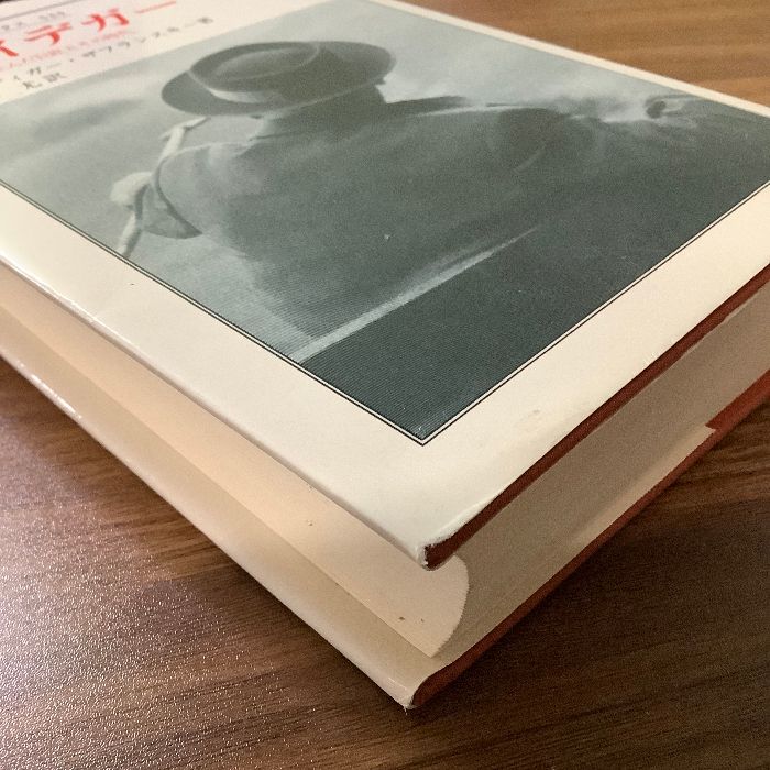 ハイデガー: ドイツの生んだ巨匠とその時代 (叢書