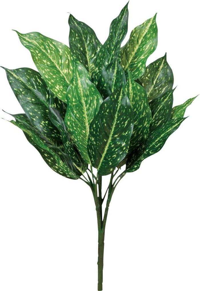 【新品・3営業日で発送】ASCA アスカ ディフェンバキアブッシュ (A-43422053A)