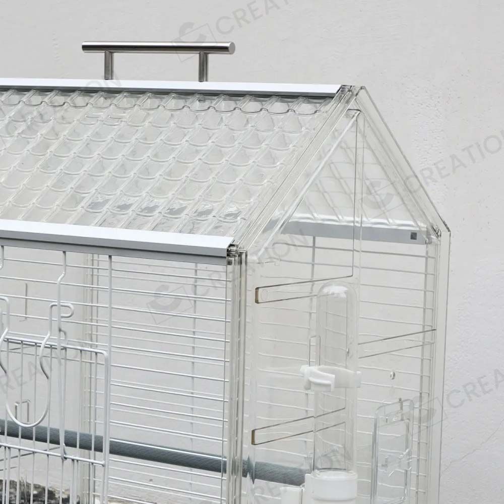 複数飼い小|中型インコ