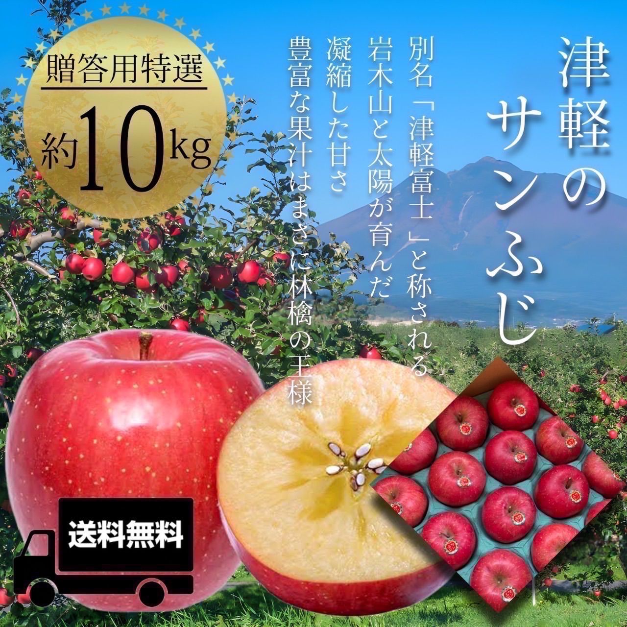 青森県産  サンふじ  りんご【贈答用特選10kg】【化粧箱】【送料無料】【産地直送】 御中元  御歳暮  ギフト  リンゴ  林檎