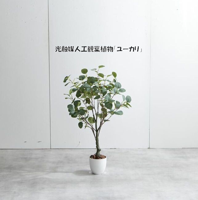 送料無料光触媒人工観葉植物ユーカリ 造花 人工植物 フェイクグリーン（1275）