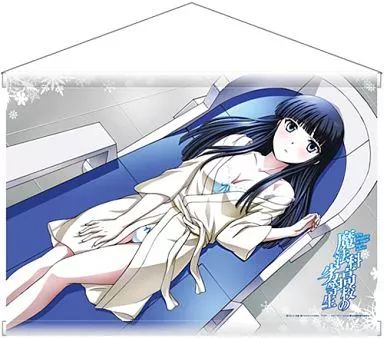 お買い得，送料無料】 中古タペストリー 司波深雪(水着) B2