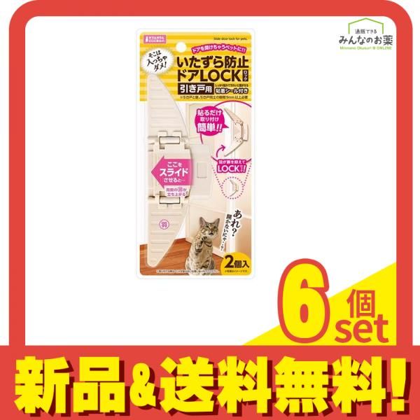 金子眼鏡 井戸多美男 手造り T-449R CHS メガネ