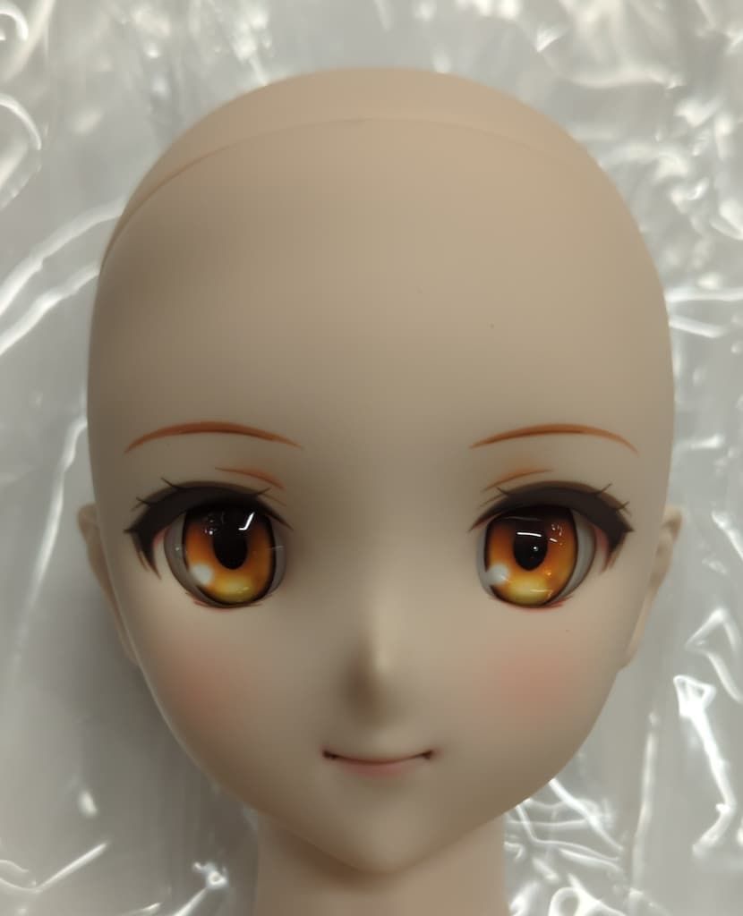 ボークス DD Fate Grand Order マスター 主人公 女 NOITHATQUANGTHANH_NET