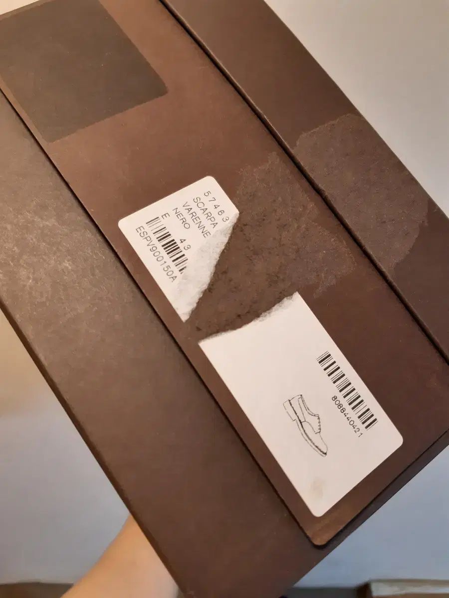 ボタエガ ボッテガヴェネタ